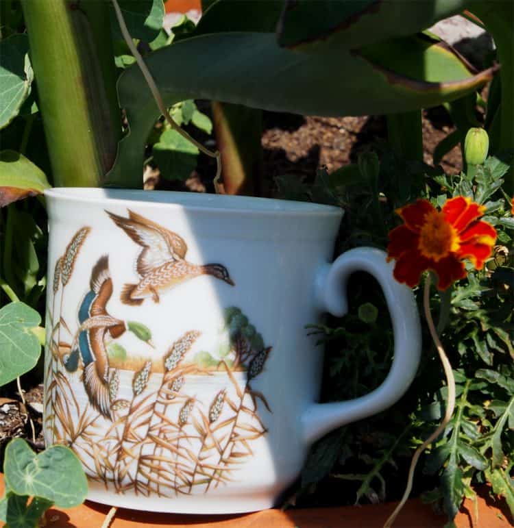 Frühstücksporzellan Becher Sina groß mit Wildenten