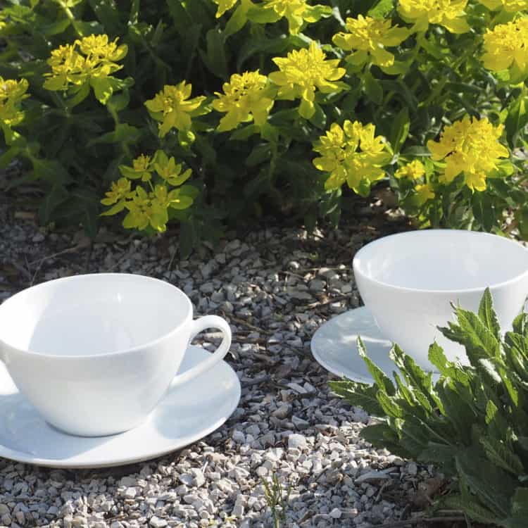 Elegante Teetassen aus der Porzellanserie Carlo in zwei Größen