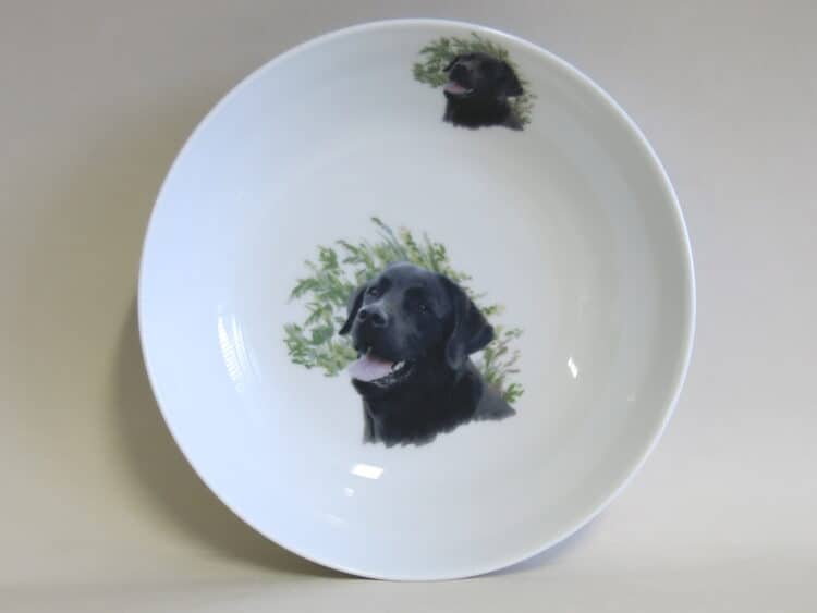 Schale Coup 18 cm mit Hundeportrait schwarzer Labrador.