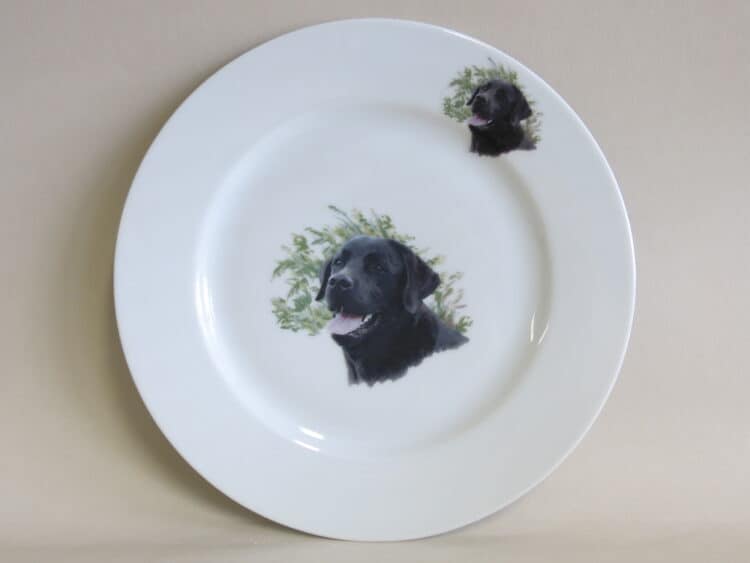 Teller Opty 21,5 cm mit Hundeportrait schwarzer Labrador.