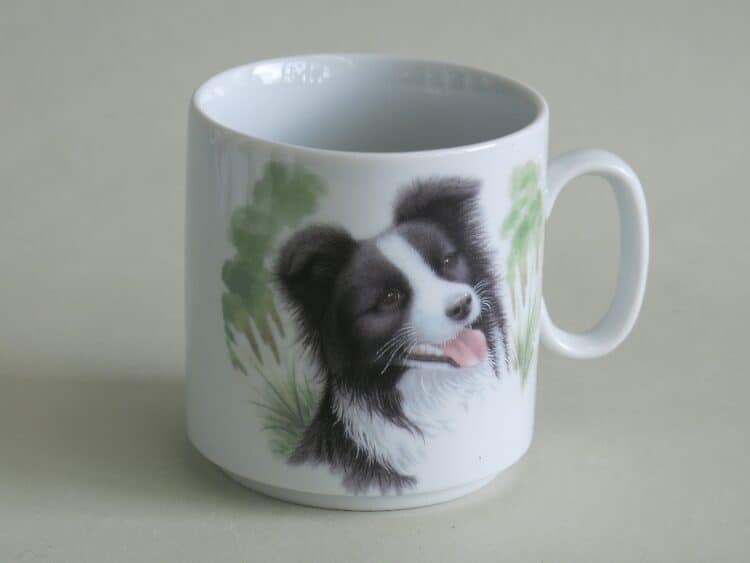 Frühstücksset Porzellan gerader Becher Lukas 260 ml Bordercollie