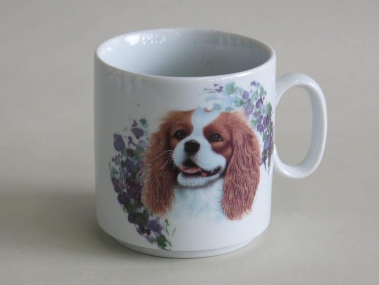 Frühstücksset Porzellan gerader Becher Lukas 260 ml Cavalier Charles Spaniel Blenheim