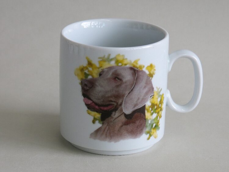 Namenstasse Porzellan gerader Becher Lukas 260ml mit Weimaraner