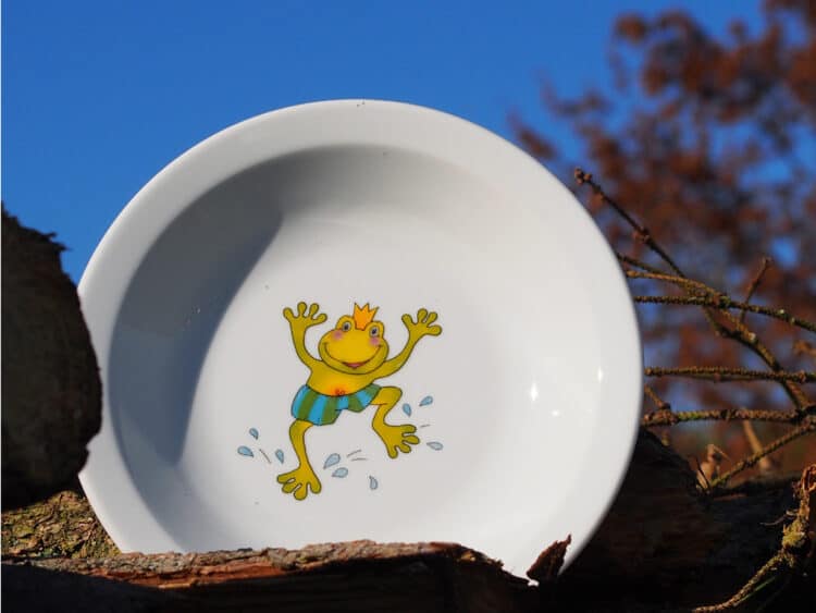 Kindergartengeschirr Teller Scandia tief Froschkönig