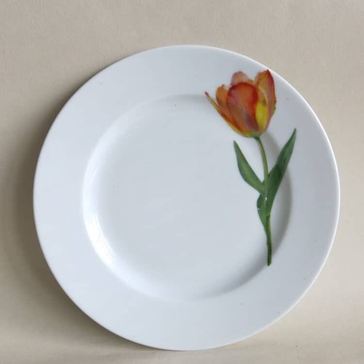 Sonderpreis Teller Rita 21 cm mit Blumenmotiv orange Tulpe 2. Wahl