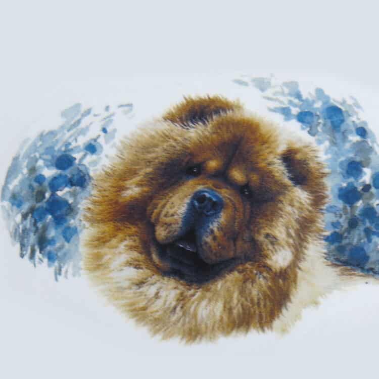 Hundemotiv Chowchow gold