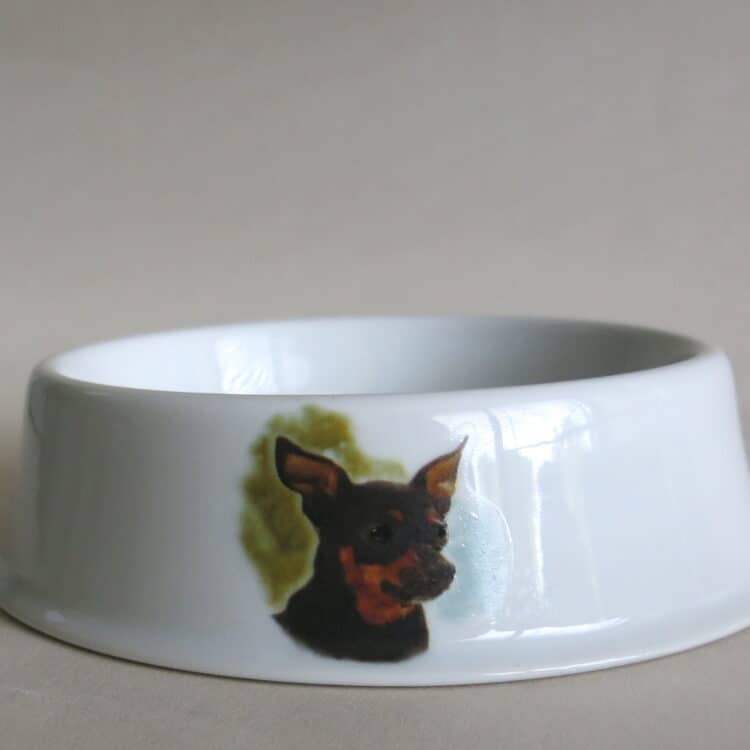 Porzellan Hundenapf klein mit Dobermann Pinscher