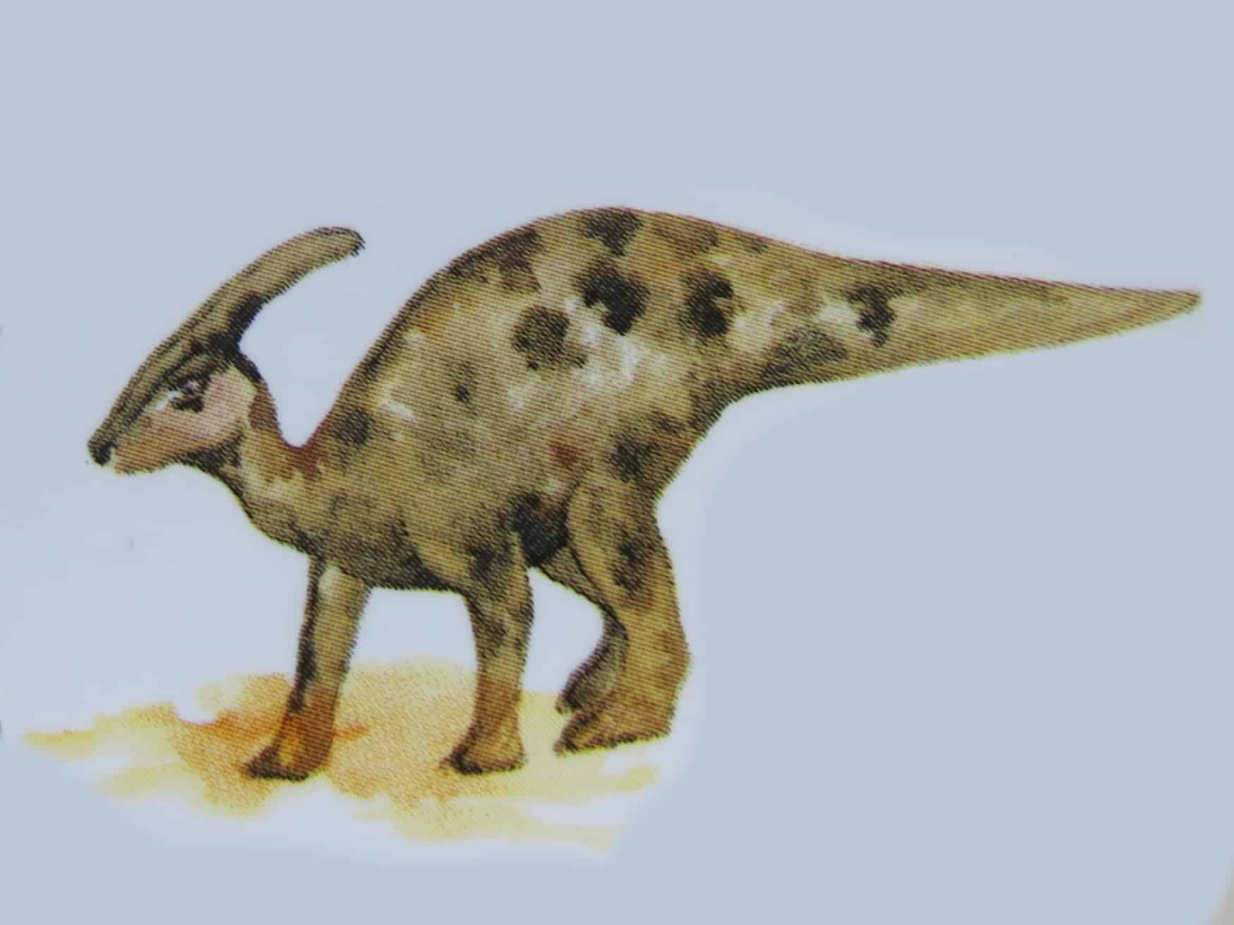 Hadrosaurier oder Entenschnabelsaurier Parasaurolophus