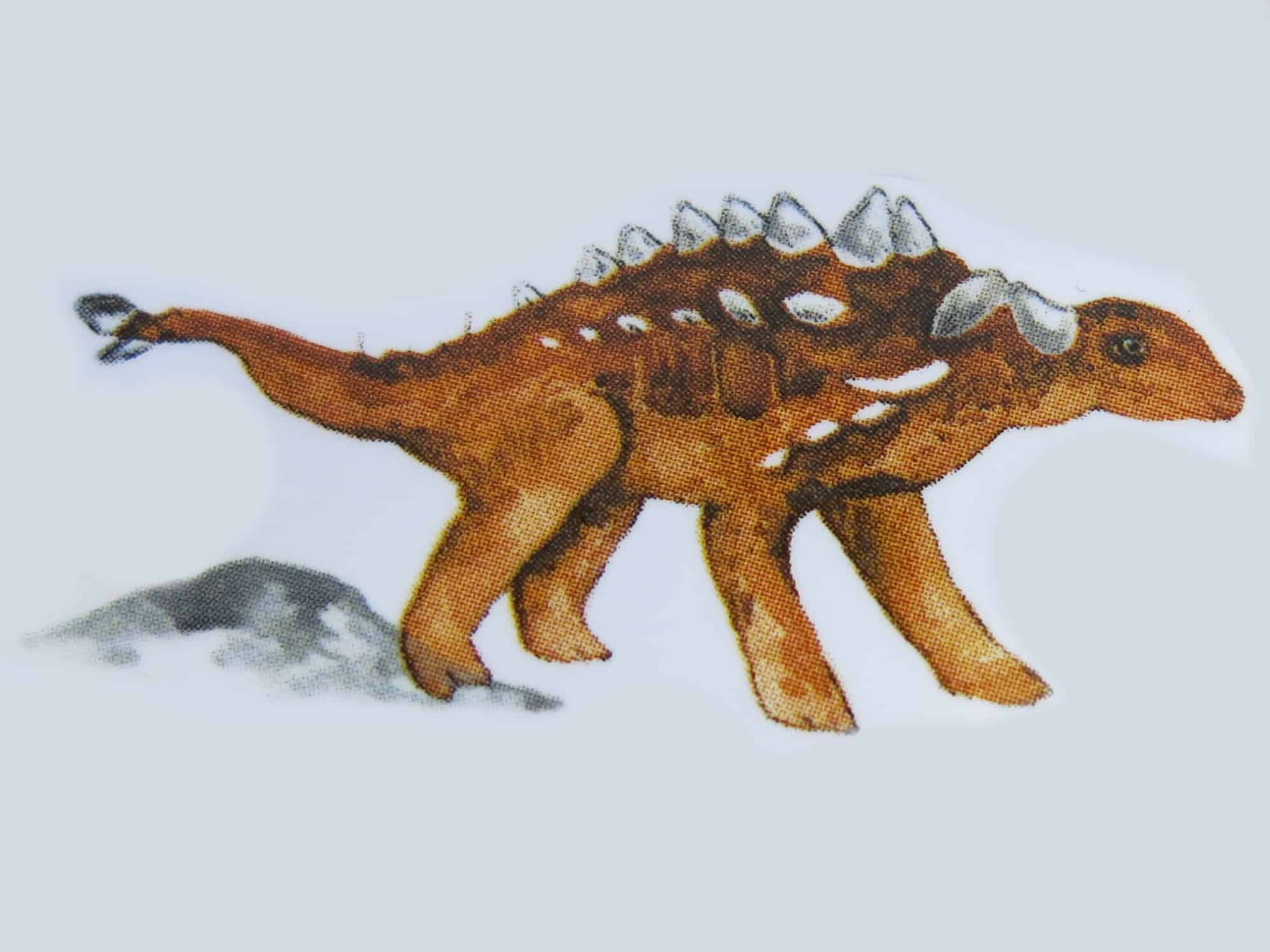 Stegosaurus