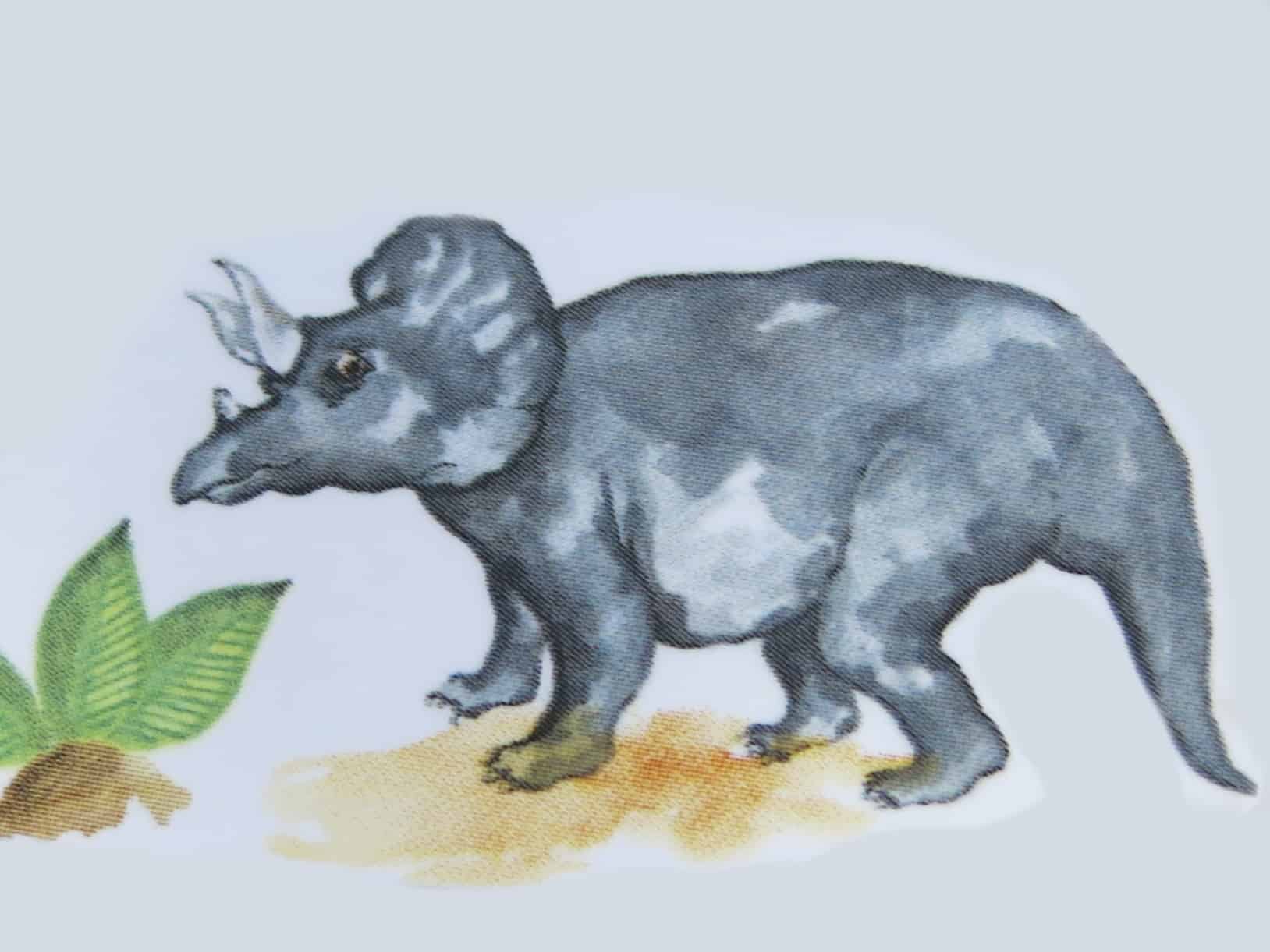 Triceratops