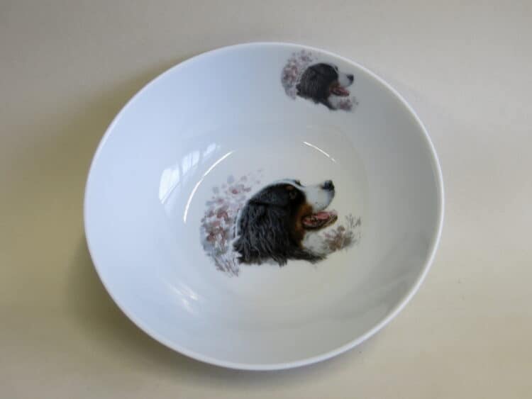 Berner Sennenhund Porzellan Bowl Ole 17 cm