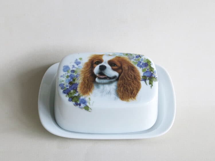 Porzellan Butterdose König für 125g Cavalier King Charles , Blenheim, geschlossen