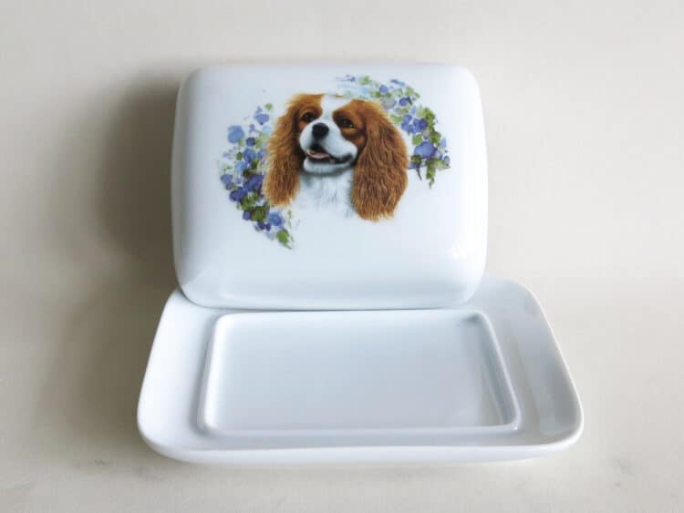 Porzellan Butterdose Kristof Cavalier King Charles, Blenheim, offen