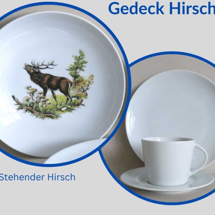 Jagdservice Gedeck Tasse Clio, Teller Ole Wildmotiv stehender Hirsch 1